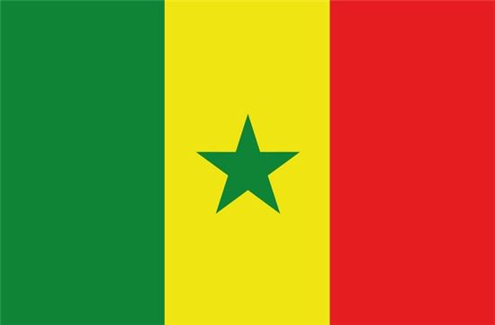 세네갈 국기 