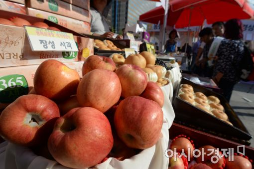 긴 연휴 불편하지 않게…서울시, 추석 종합대책 시행