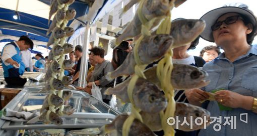 [포토]광화문광장에서 추석상 준비하세요!