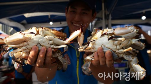 [포토]광화문광장에서 추석상 준비하세요!