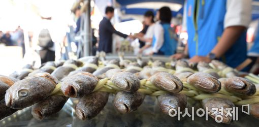 [포토]광장에서 추석상 저렴하게 준비하세요!