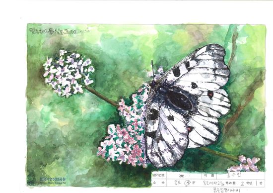 함평군 제8회 멸종위기 야생동식물 그리기대회 수상작 선정