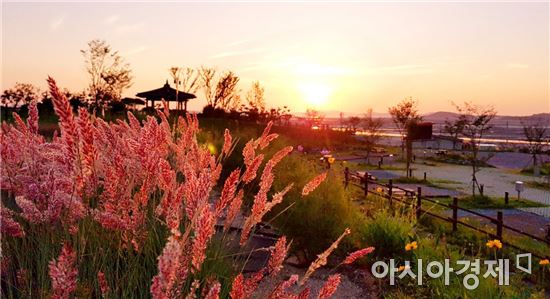 함평군, 주포한옥마을에 억새밸리존 조성