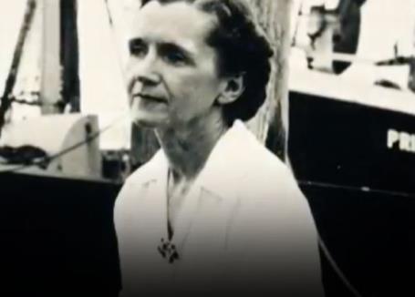 [초동여담]'침묵의 봄'이 던진 경고