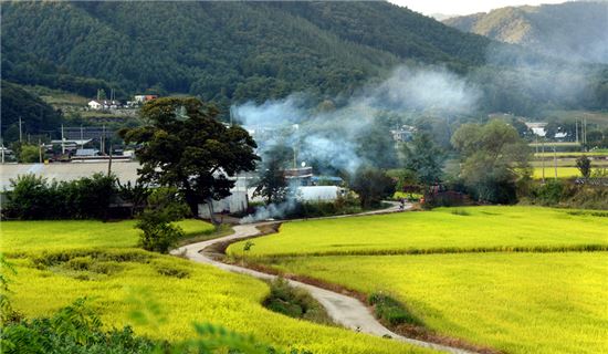 [여행만리]단풍잎 흘러내린 물소리 들리나요