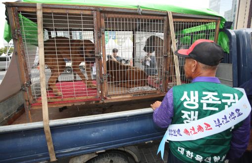 [이미지출처=연합뉴스]개고기 합법화 집회 연 대한육견협회