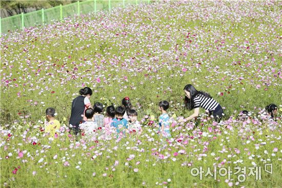 보성군, 숲속의 전남 ‘주민참여숲 공모사업비' 5억 2천만 원 확보