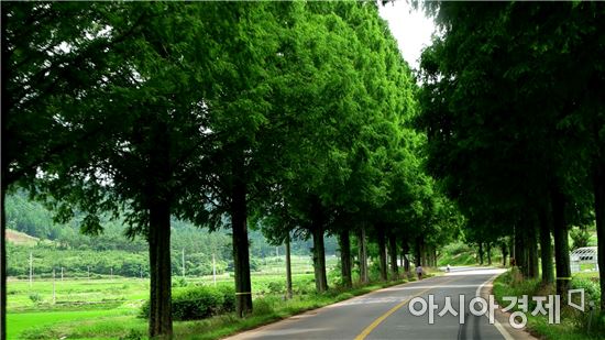 보성군, 숲속의 전남 ‘주민참여숲 공모사업비' 5억 2천만 원 확보