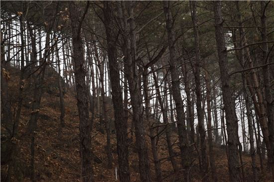 [조문환의 지리산별곡 20]보이는 것은 나타난 것으로 말미암지 않나니