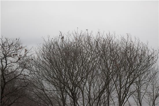 [조문환의 지리산별곡 20]보이는 것은 나타난 것으로 말미암지 않나니