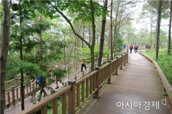 보성군, 추석 황금연휴 관광객 맞이에 총력