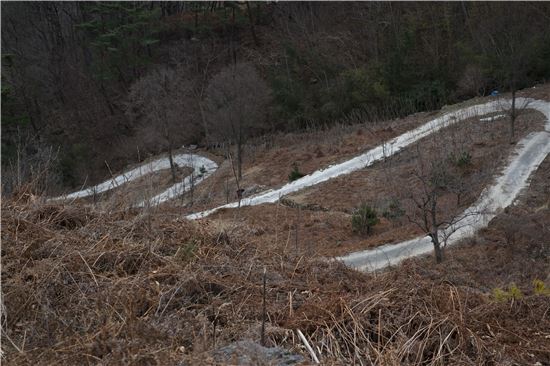 [조문환의 지리산별곡 21]왕시루봉, 갈증이며 갈망인