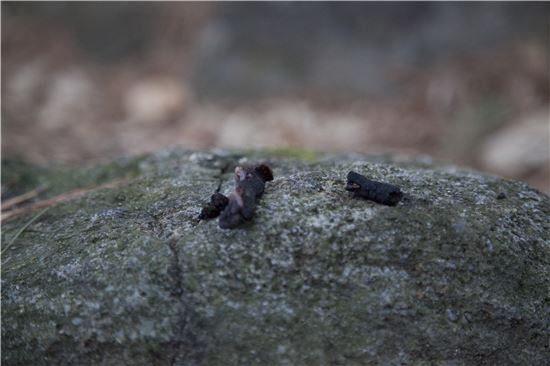 [조문환의 지리산별곡 21]왕시루봉, 갈증이며 갈망인