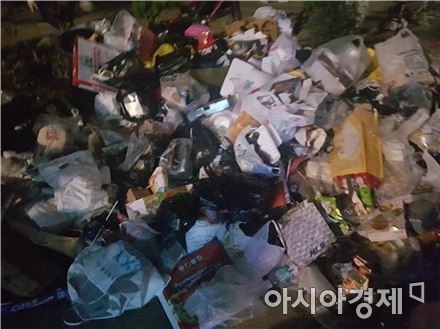 [실감현장]씁쓸한 뒷맛 남긴 불꽃축제