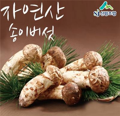 '가재새우·오미자' 이색 토종 먹거리…추석 전 홈쇼핑서 인기