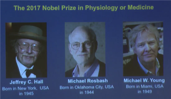 [2017 노벨상]생리의학상…생체시계 메커니즘 규명에 높은 점수(상보)