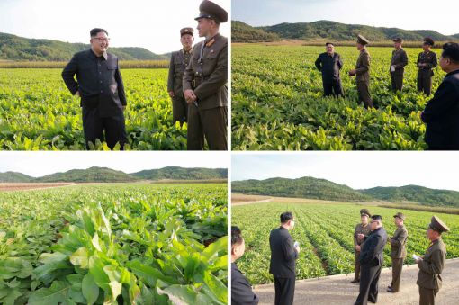 北 하루 쉬는 추석, 어떻게 보내나…도발 긴장 늦출 수 없어 