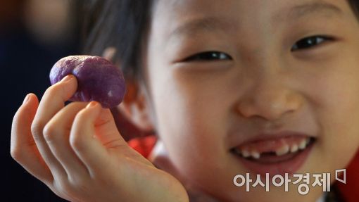 [포토]고사리손이 빚은 송편
