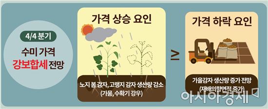 (정보그림=한국농촌경제연구원)