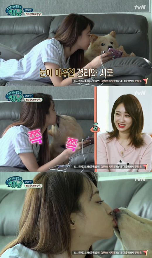 사진='대화가 필요한 개냥' 방송 캡처