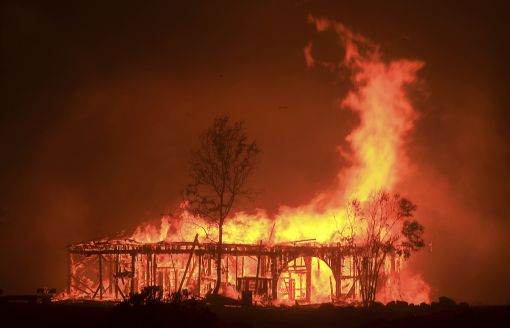 美 캘리포니아 산불로 최소 10명 사망