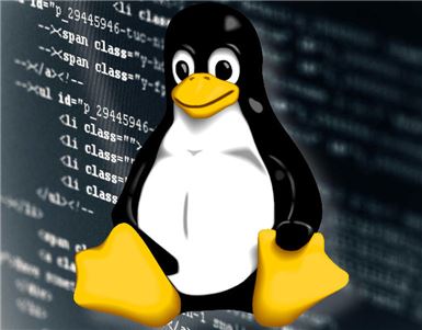 오픈소스 운영체제 '리눅스'의  펭귄 마스코트