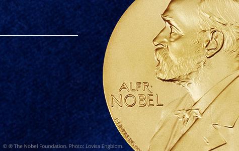 [노벨상 뒷이야기]②노벨 수학상이 없는 이유와 필즈상