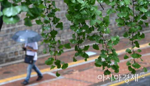 [포토]가을이 오는 길목에서