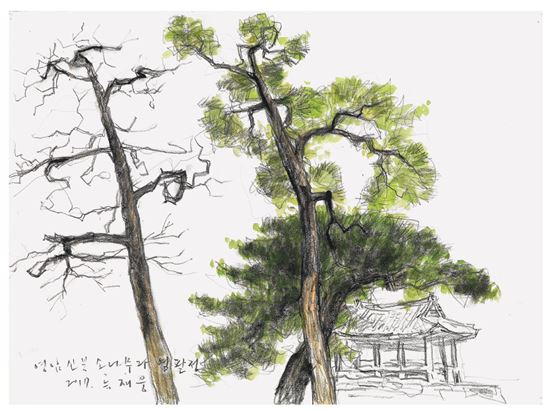 ‘ 영암, 시간을 걷다 ’전시회 개최