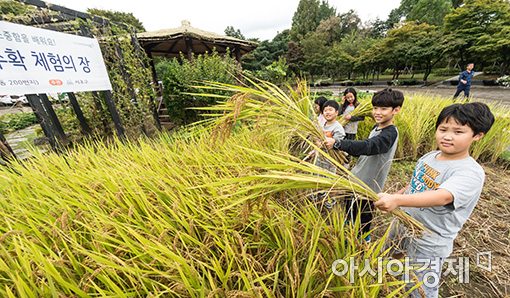 [포토]'도심속 농부 체험'