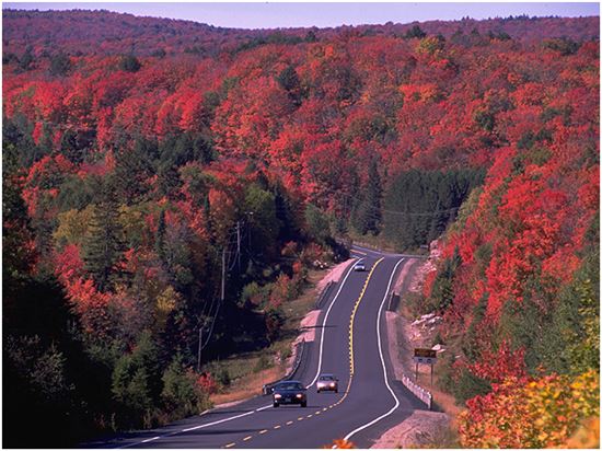 가을철 캐나다의 메이플로드 단풍 모습(사진=하나투어 홈페이지)
