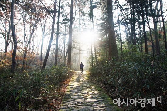 태안사 숲길