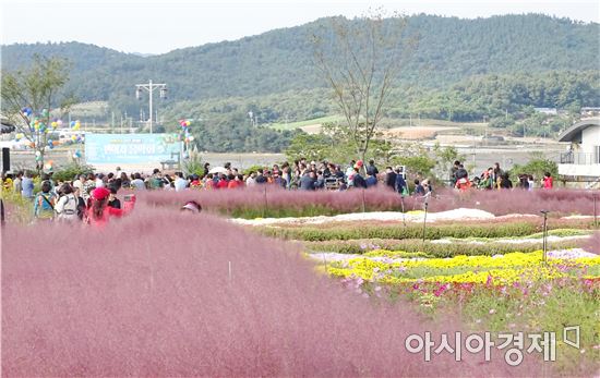 함평 주포한옥마을 억새벨리존, 관광객 북적~초가을 낭만 만끽