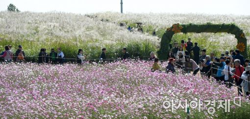 [포토]하늘공원에 찾아온 가을