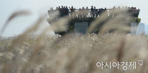 [포토]억새 보며 가을 만끽