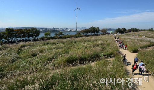 [포토]하늘공원에 찾아온 가을