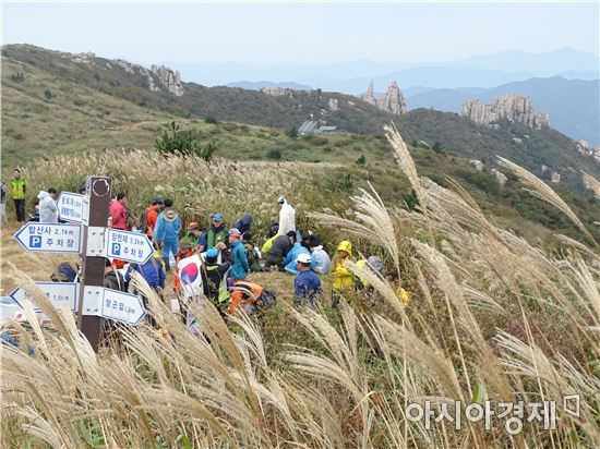 장흥 천관산 억새제 구름 인파몰려~은빛억새 가을만끽