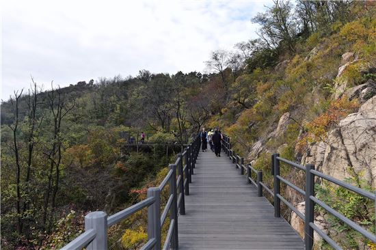 안산자락길 가는 가을의 정취 느껴보자  
