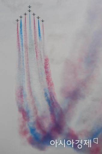 [포토]멋진 공중기동 선보이는 블랙이글스