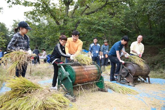 도봉구 초등학생 전통 벼베기· 탈곡 체험