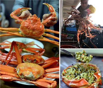 [여행만리]짙어가는 단풍숲, 햇살조명 켰네