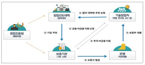 창업선도대학 보증지원 구조
