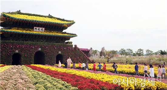 국화향기 가득한 함평으로 오세요~국향대전 20일 개막