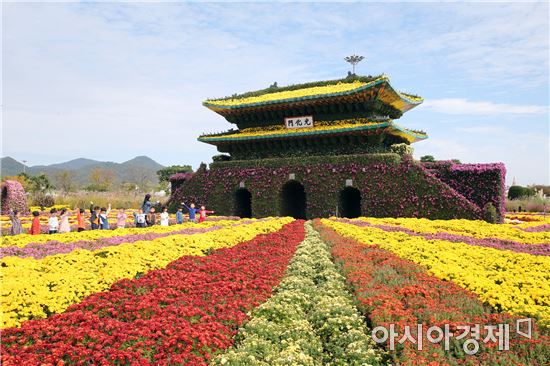 국화향기 가득한 함평으로 오세요~국향대전 20일 개막