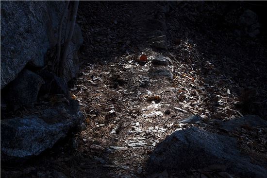 [조문환의 지리산별곡 23] 시작도 없고 끝도 없는 길에 다시 서서