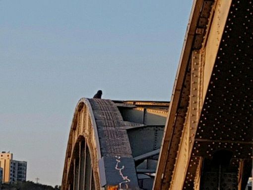 지난달 20일 60대 남성 한명이 서울 한강대교 아치 위에 올라가 투신소동을 벌여 소방당국이 구조활동을 했다.  (사진=연합뉴스)