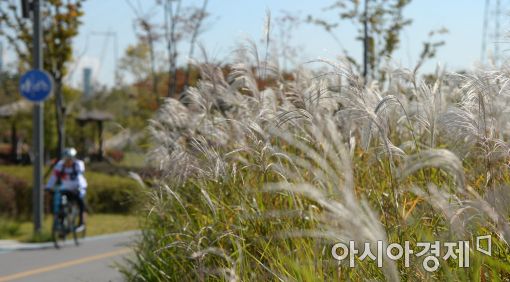 [포토]'가을을 느끼며'