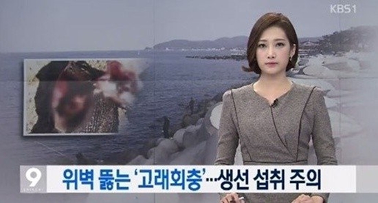 [사진출처=KBS1 뉴스 캡처]