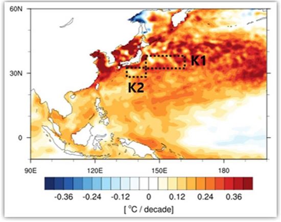 ▲일본동해(K1),남해(K2) 지역 해수면 고도 시계열. 쿠로시오 해류가 강화되면 한반도 온도가 상승하는 것으로 나타났다.[사진제공=한국기상학회]
