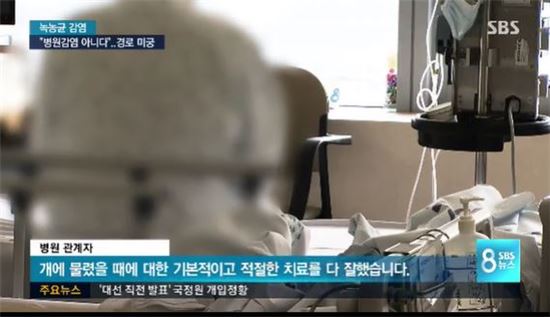 사진=SBS '8뉴스' 방송화면 캡처